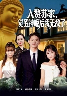 赘苏家，觉醒神瞳后我无敌了