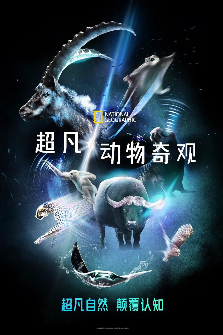超凡动物奇观