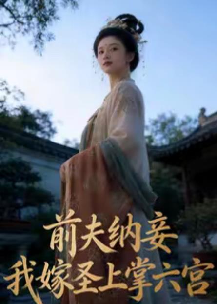 前夫纳妾，我嫁圣上掌六宫