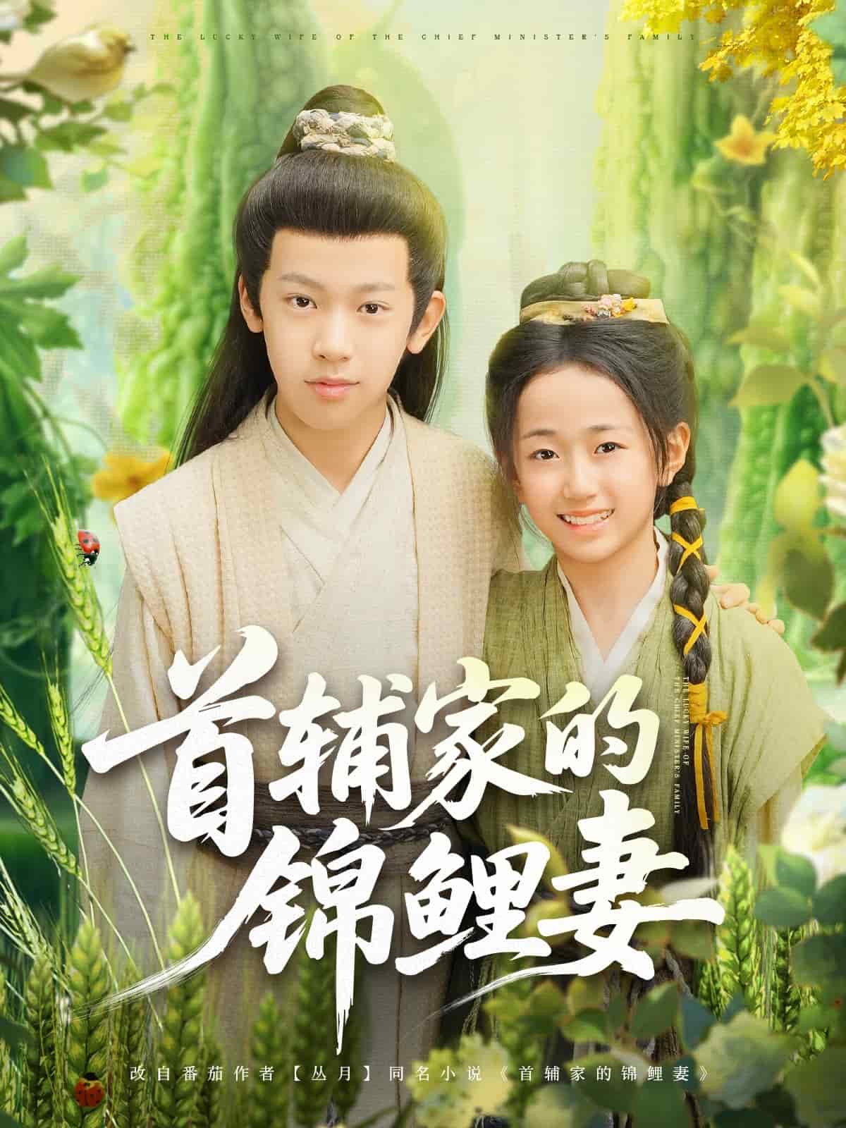 首辅家的锦鲤妻