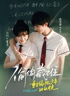偷偷藏不住重生偏执少年的白月光