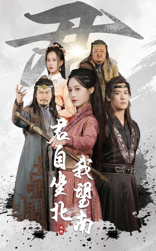 我自迎风向故里