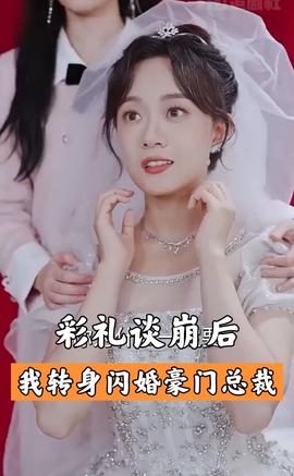 彩礼谈崩后我闪婚了豪门老公