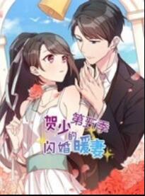 贺少的闪婚暖妻动态漫第五季
