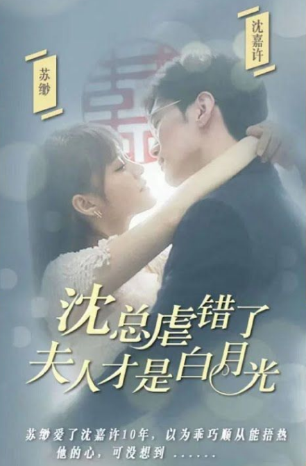 沈总虐错了夫人才是白月光