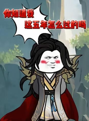 你知道我这五年怎么过的吗