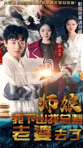 师娘，我下山找总裁老婆了