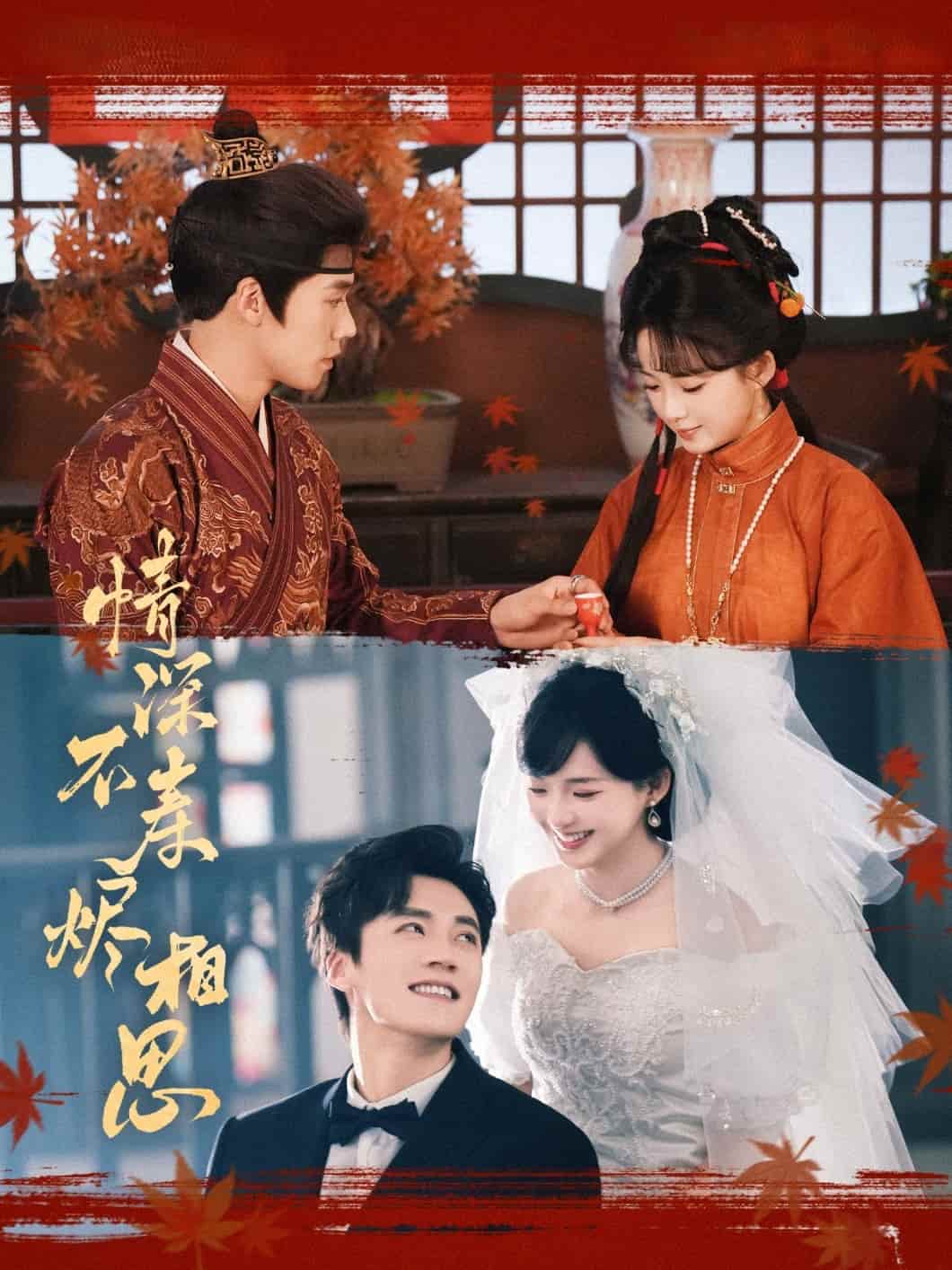 情深不寿烬相思