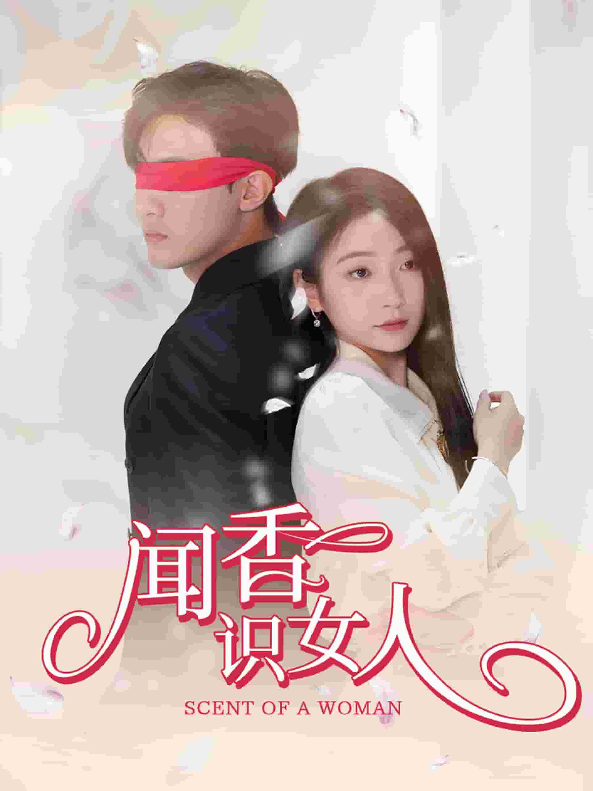闻香识女人短剧版