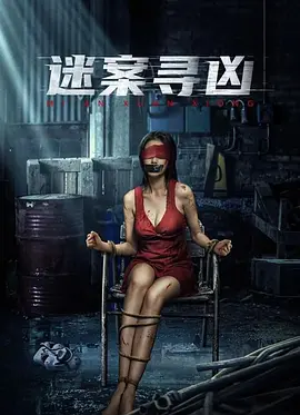 迷案寻凶电影版