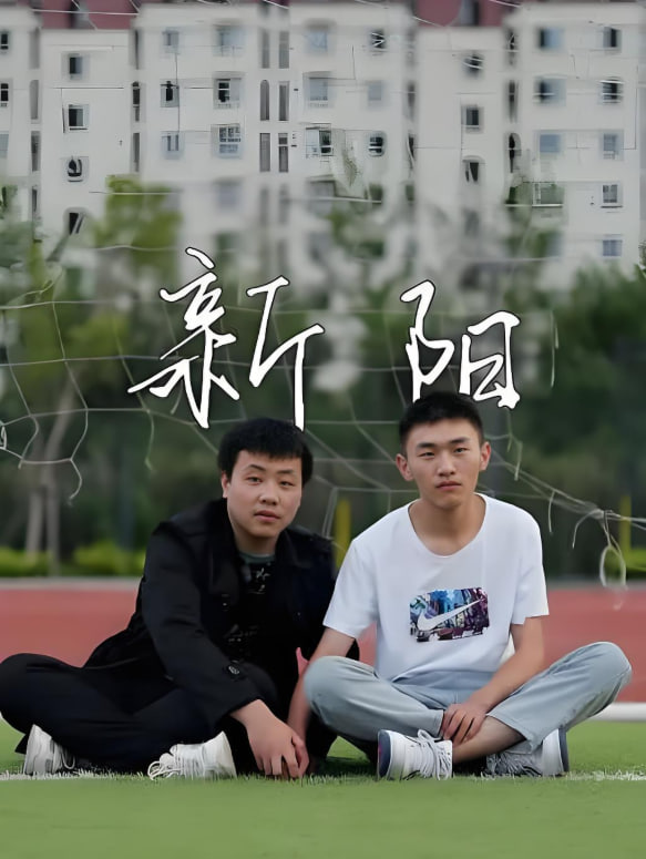 新阳2022